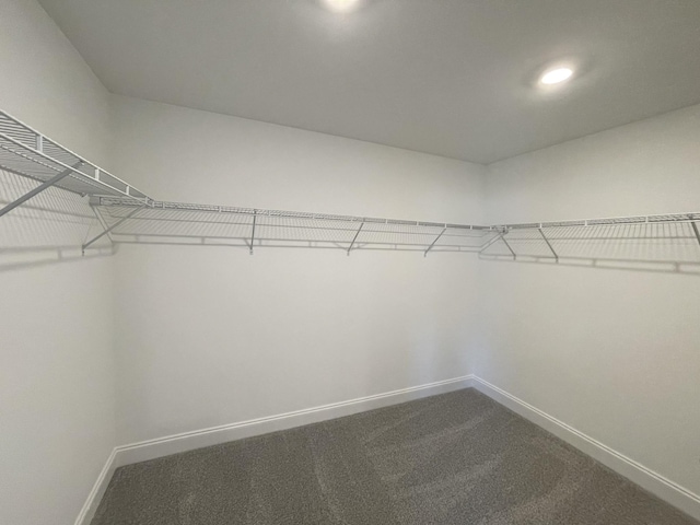 1154 June Wilde Rdg, Spring Hill, TN 37174 - spacious closet featuring dark carpet