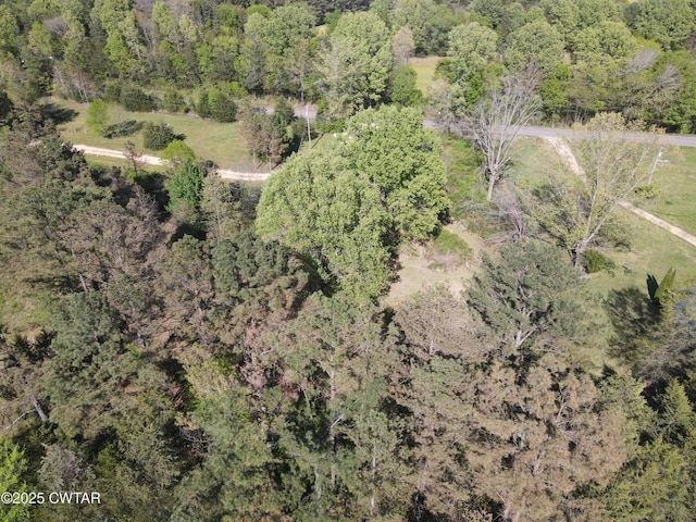 0 Mount Carmel Rd, Decaturville, TN 38329