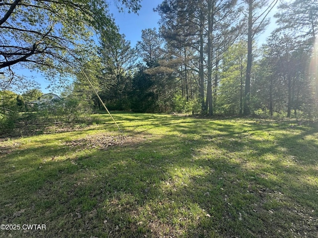 0 Mount Carmel Rd, Decaturville, TN 38329