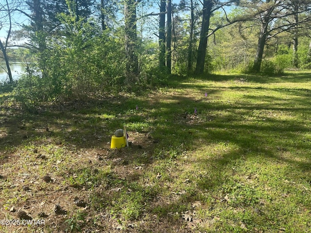 0 Mount Carmel Rd, Decaturville, TN 38329