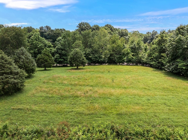 0 High Lea Rd, Clarksville, TN 37040 - photo 16