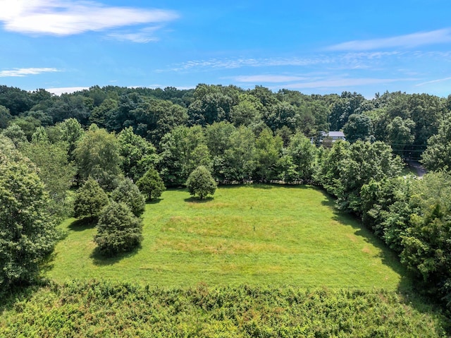 0 High Lea Rd, Clarksville, TN 37040 - photo 9