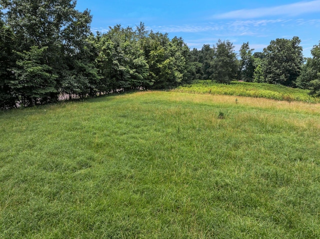 0 High Lea Rd, Clarksville, TN 37040 - photo 14