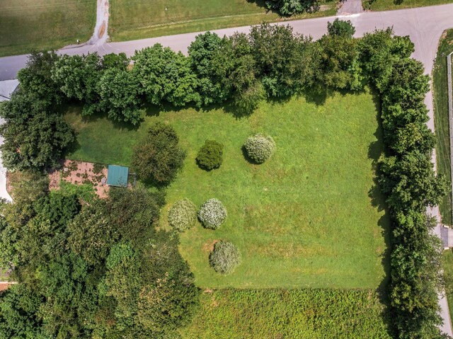 0 High Lea Rd, Clarksville, TN 37040 - photo 8