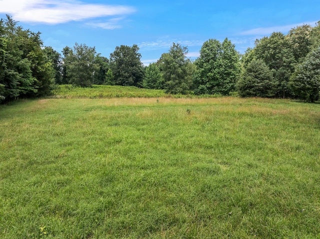 0 High Lea Rd, Clarksville, TN 37040 - photo 17