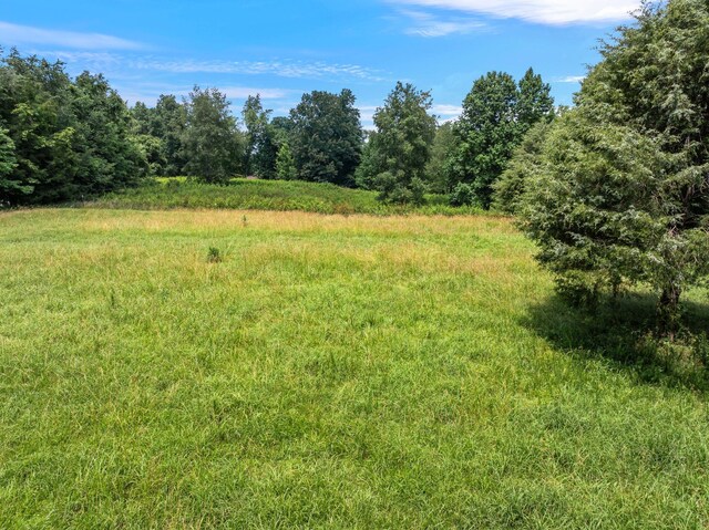 0 High Lea Rd, Clarksville, TN 37040 - photo 15