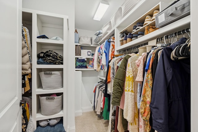 1120 Pretender Way, Columbia, TN 38401 - spacious closet featuring carpet flooring