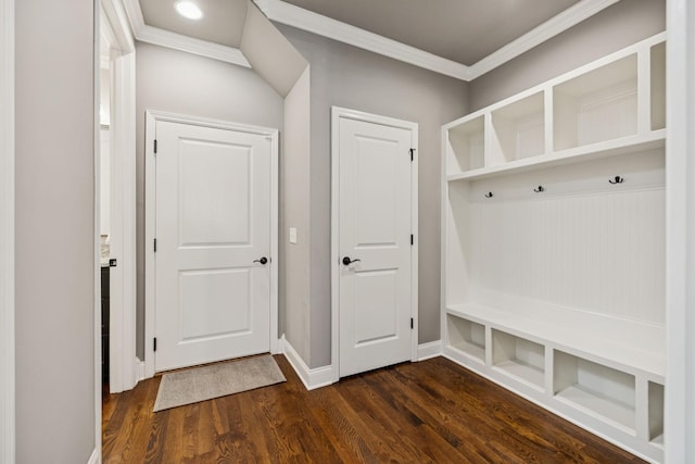 1120 Pretender Way, Columbia, TN 38401 - mudroom with dark wood-type flooring and crown molding