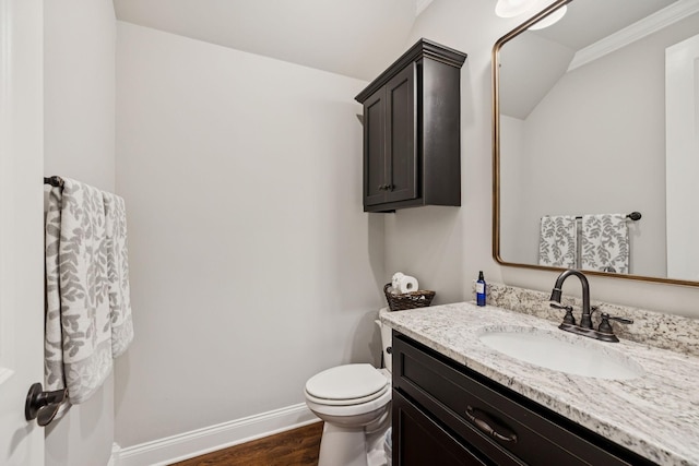 1120 Pretender Way, Columbia, TN 38401 - bathroom featuring wood finished floors, vanity, and vaulted ceiling
