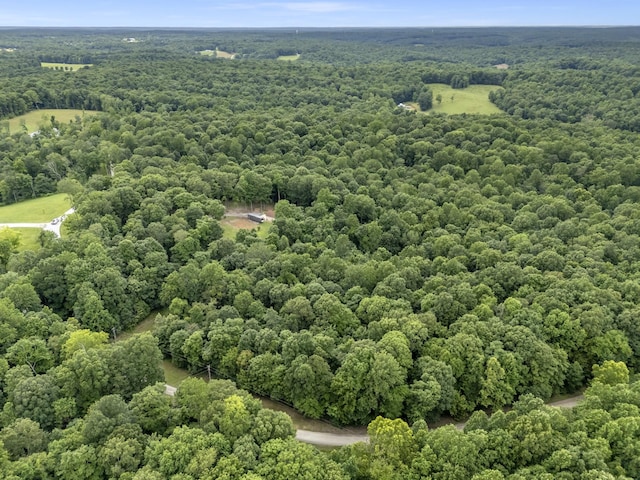 1150 Tonya Trl, Cumberland Furnace, TN 37051 - photo 48