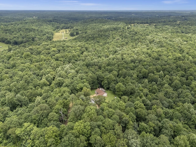 1150 Tonya Trl, Cumberland Furnace, TN 37051 - photo 44