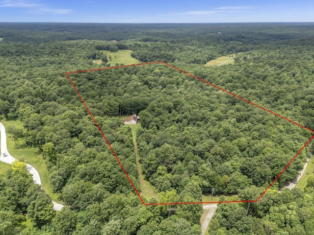 1150 Tonya Trl, Cumberland Furnace, TN 37051 - photo 45