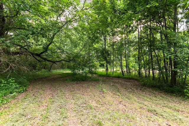 4100 Asbury Rd, Manchester, TN 37355 - view of yard with a wooded view