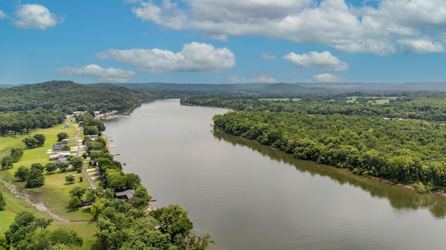 1038 Wc Pickett Rd, Clifton, TN 38425