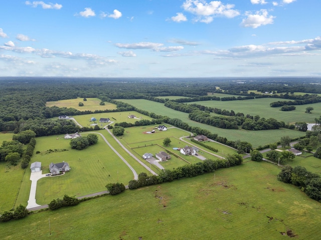 4731 Lunns Store Rd, Chapel Hill, TN 37034 - view of rural area featuring a pastoral area