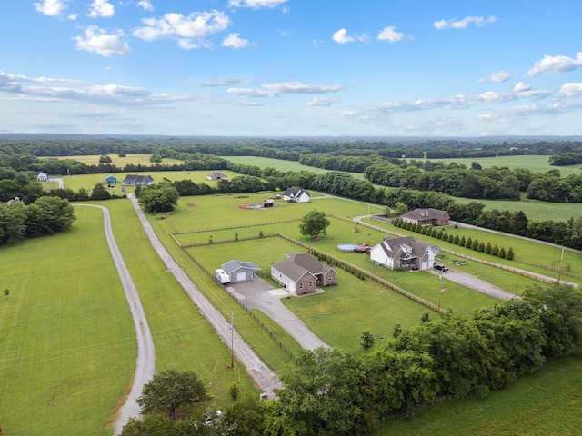 4731 Lunns Store Rd, Chapel Hill, TN 37034 - view of rural area with agricultural land