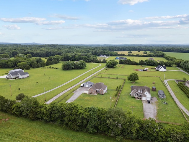 4731 Lunns Store Rd, Chapel Hill, TN 37034 - aerial view of sparsely populated area with a pastoral area