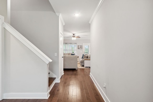 4731 Lunns Store Rd, Chapel Hill, TN 37034 - hallway with dark wood finished floors, stairway, and crown molding