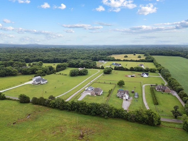 4731 Lunns Store Rd, Chapel Hill, TN 37034 - view of rural area with a pastoral area