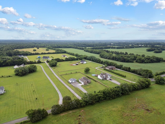 4731 Lunns Store Rd, Chapel Hill, TN 37034 - aerial view of sparsely populated area with a pastoral area