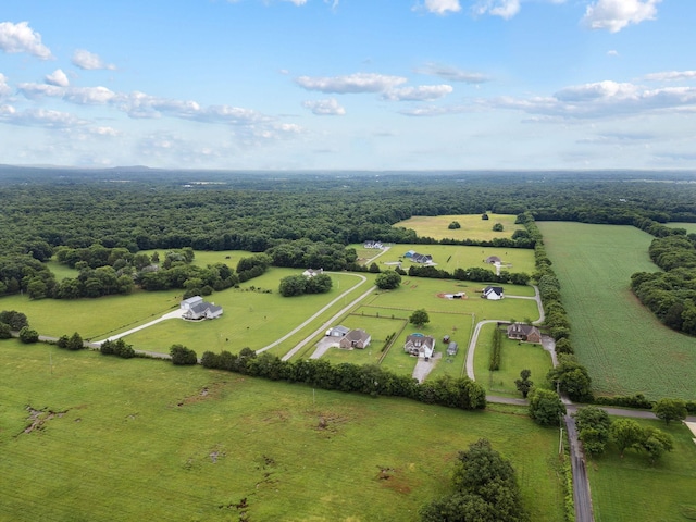 4731 Lunns Store Rd, Chapel Hill, TN 37034 - view of rural area