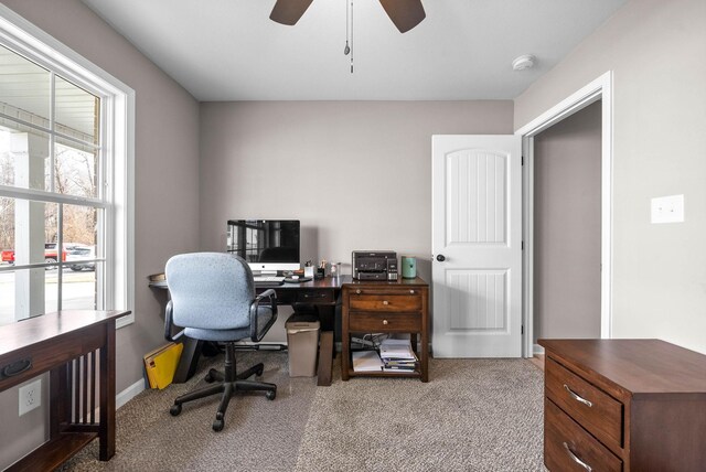 304 Bluebell Dr, Clarksville, TN 37043 - photo 32