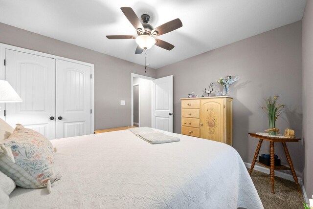 304 Bluebell Dr, Clarksville, TN 37043 - photo 36