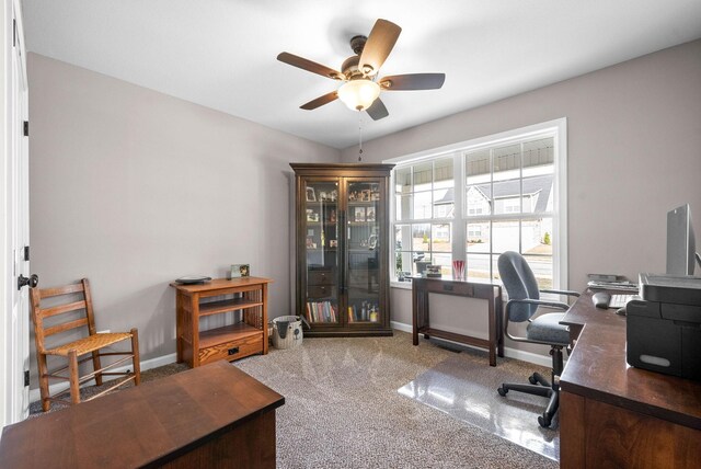 304 Bluebell Dr, Clarksville, TN 37043 - photo 31