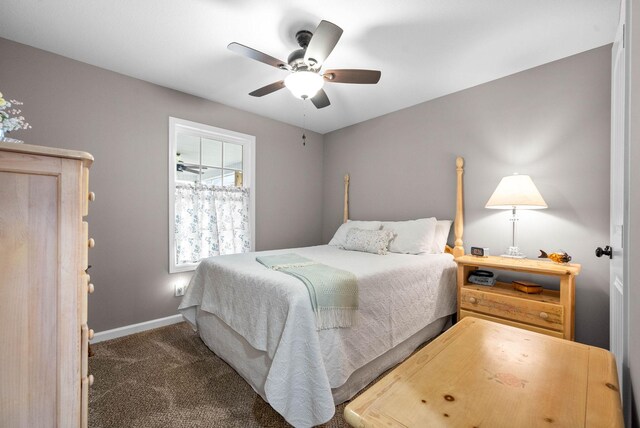 304 Bluebell Dr, Clarksville, TN 37043 - photo 35