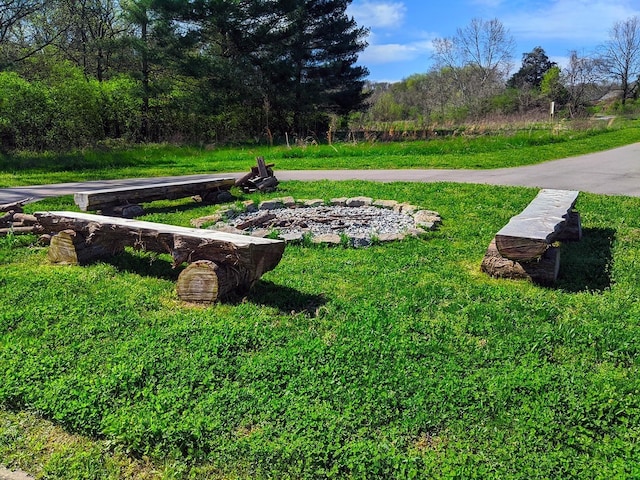 8011 Cane Creek Rd, Nashville, TN 37221 - view of community