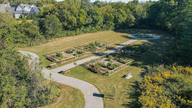 8011 Cane Creek Rd, Nashville, TN 37221 - aerial view of a forest