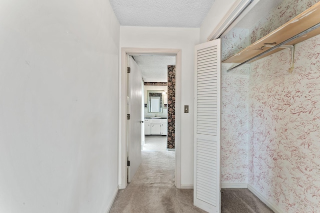 123 Proffitt St, Carthage, TN 37030 - hall featuring carpet and a textured ceiling
