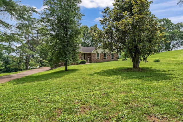 123 Proffitt St, Carthage, TN 37030 - view of front of house with a front yard and brick siding