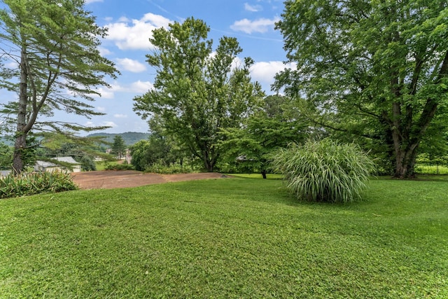 123 Proffitt St, Carthage, TN 37030 - view of green lawn with a mountain view