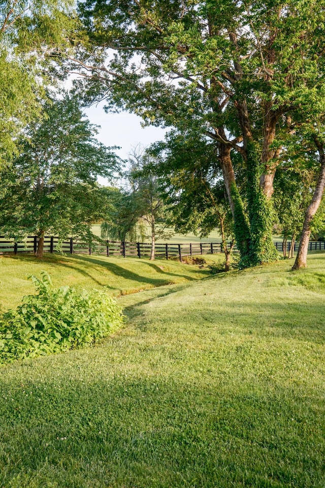 2410 Hidden River Ln, Franklin, TN 37069 - view of yard