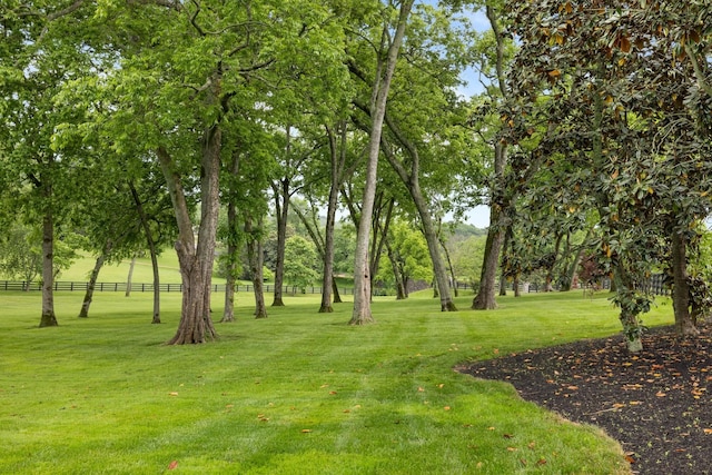 2410 Hidden River Ln, Franklin, TN 37069 - view of yard