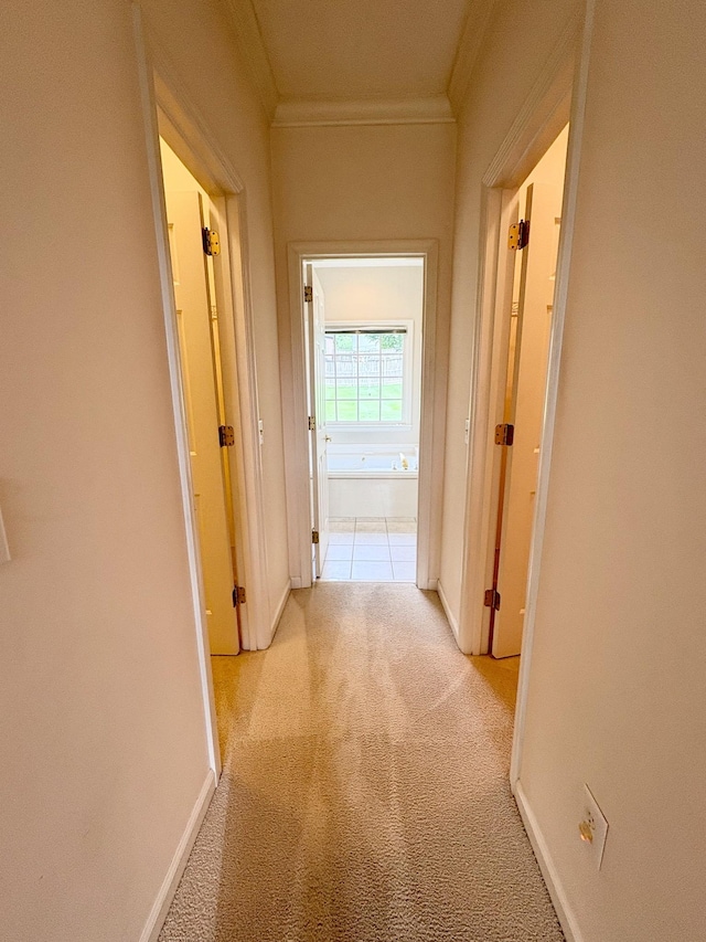 416 Barnes Dr, Lebanon, TN 37087 - corridor with crown molding and light carpet