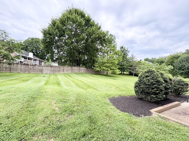 416 Barnes Dr, Lebanon, TN 37087 - view of yard