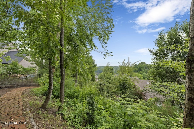 48 Riverside Dr, Oak Ridge, TN 37830 - view of nature