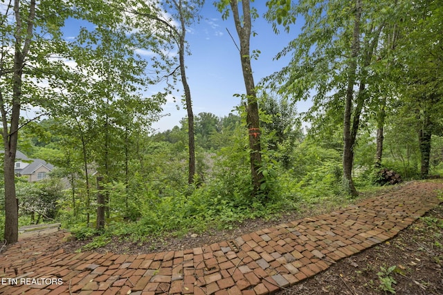 48 Riverside Dr, Oak Ridge, TN 37830 - view of nature