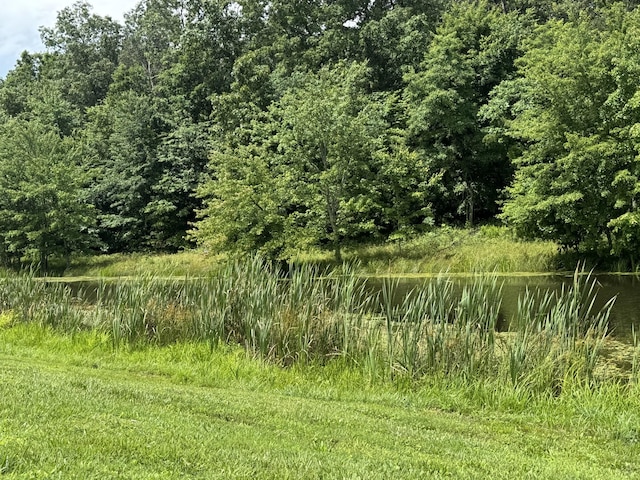 352 Mountain Lake Rd, Altamont, TN 37301 - photo 12