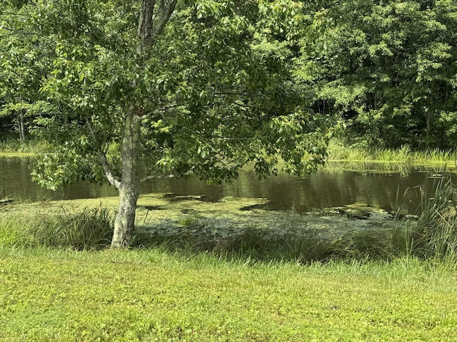 352 Mountain Lake Rd, Altamont, TN 37301 - photo 10