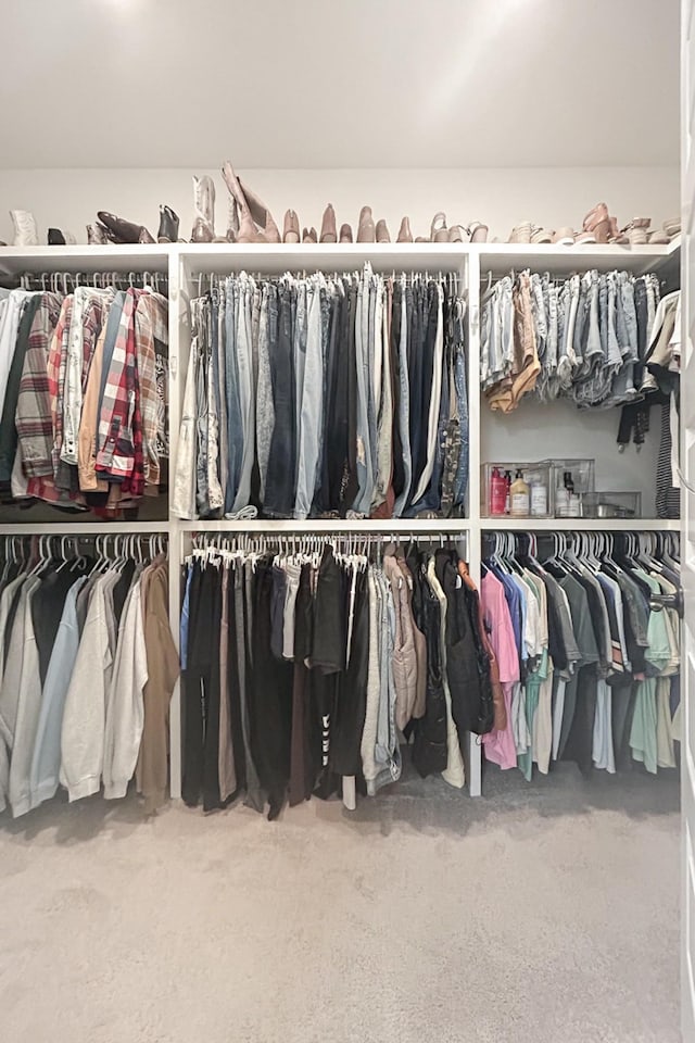 1055 Beckwith St, Franklin, TN 37064 - spacious closet with carpet