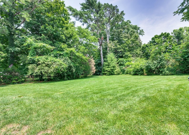 1932 Rosewood Valley Dr, Brentwood, TN 37027 - view of grassy yard