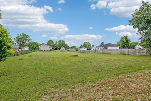 113 Beck Ct, Murfreesboro, TN 37128 - view of yard