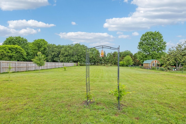 113 Beck Ct, Murfreesboro, TN 37128 - view of yard