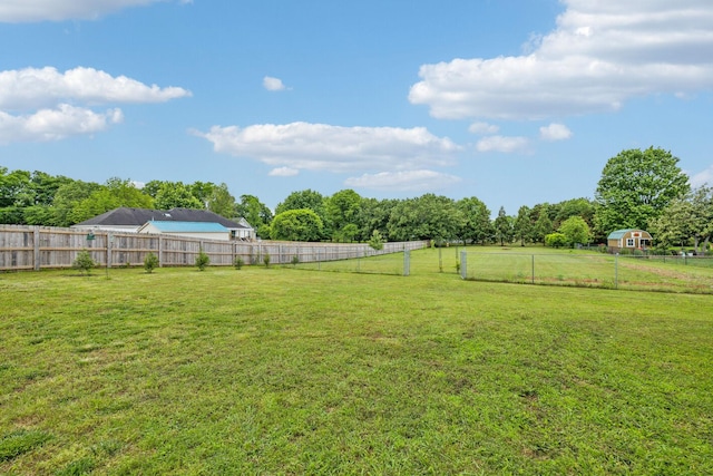 113 Beck Ct, Murfreesboro, TN 37128 - view of fenced backyard