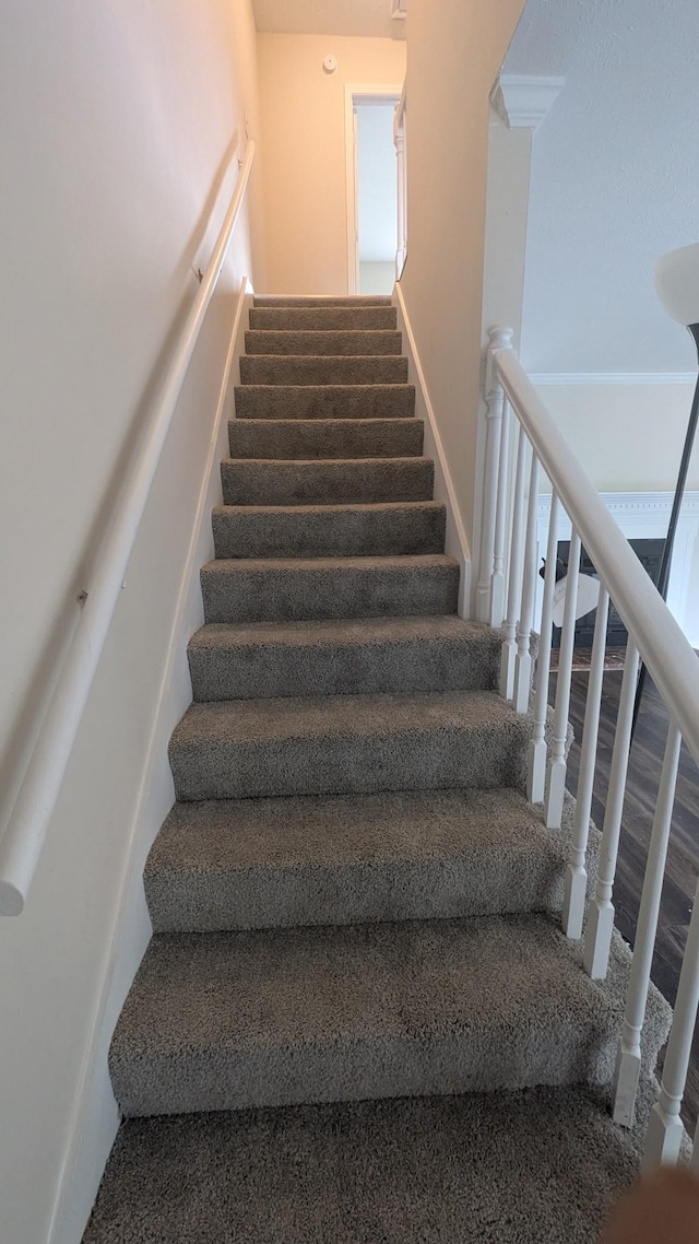 106 Beech Forge Dr, Antioch, TN 37013 - stairs featuring carpet flooring