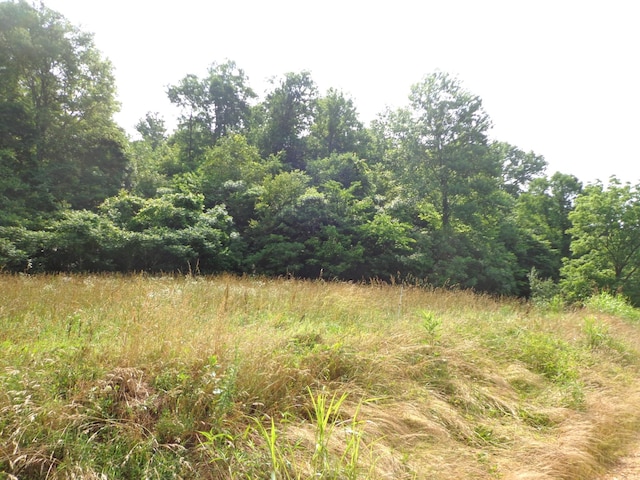 1342 Russell Creek Rd, Lobelville, TN 37097 - view of undeveloped land