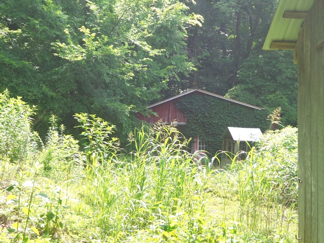 1342 Russell Creek Rd, Lobelville, TN 37097 - view of outdoor structure with a view of trees